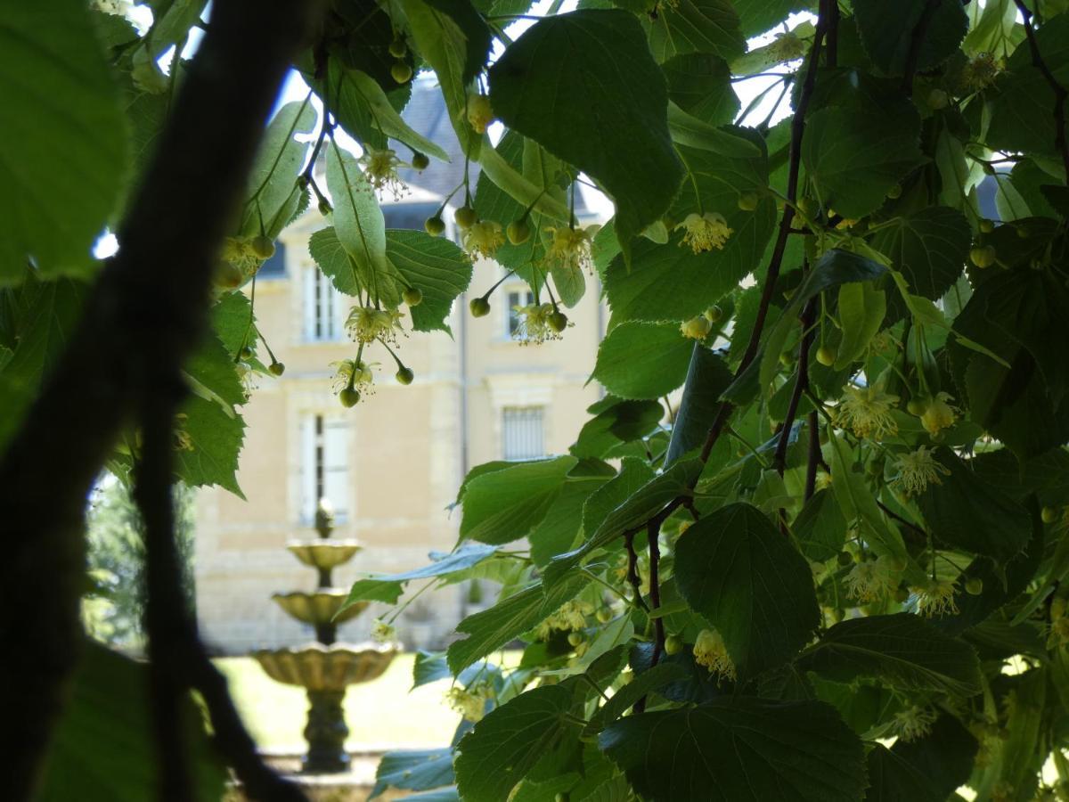 Chateau Marith - Etablissement Climatise Avec Piscine Hotel Clairac  Luaran gambar