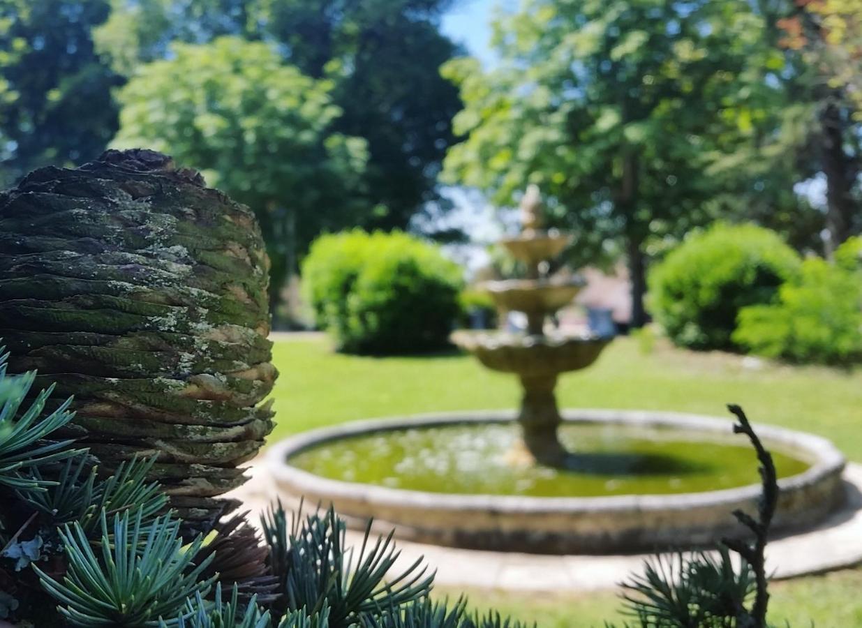 Chateau Marith - Etablissement Climatise Avec Piscine Hotel Clairac  Luaran gambar